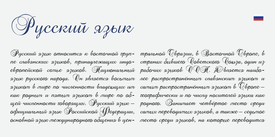 Brock Script_D